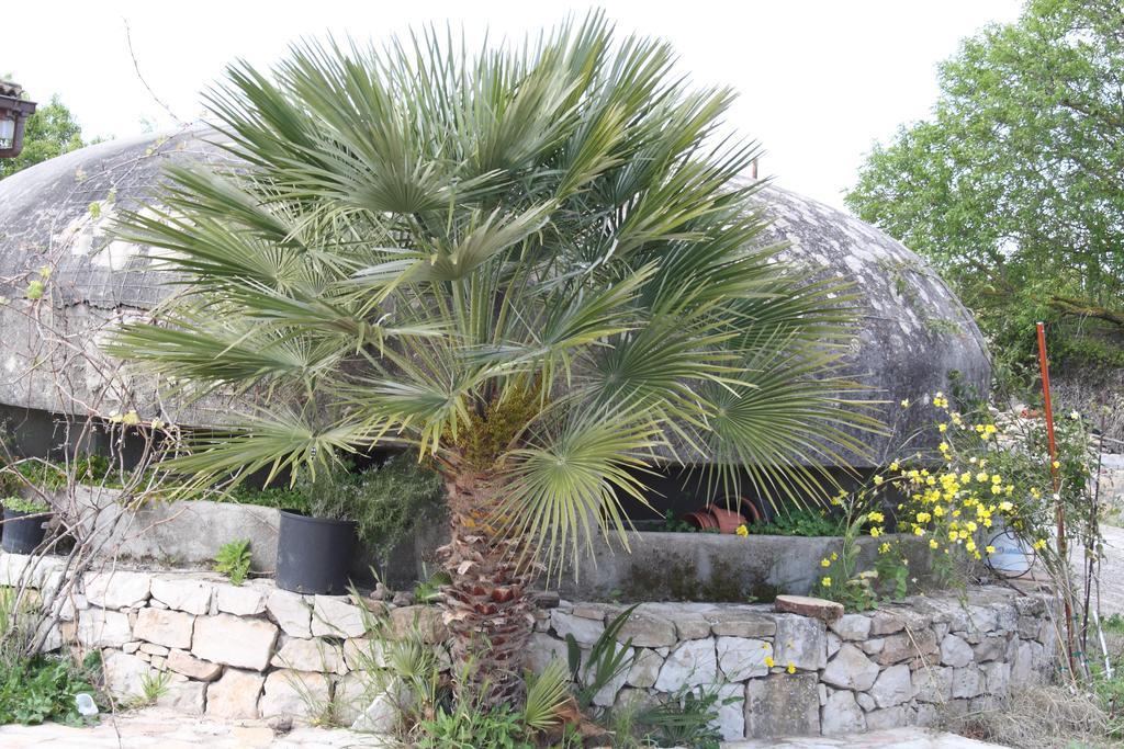 Villa La Scaletta Alghero Zimmer foto